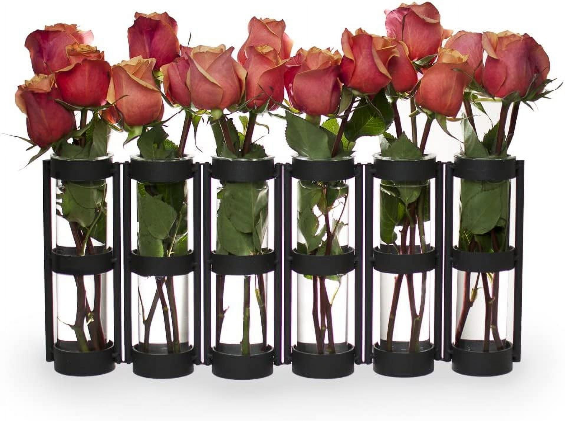 Black Hinged Metal Vase with Six Glass Tubes