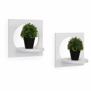 Danya B. Set of 2 Silhouette Shelves-White