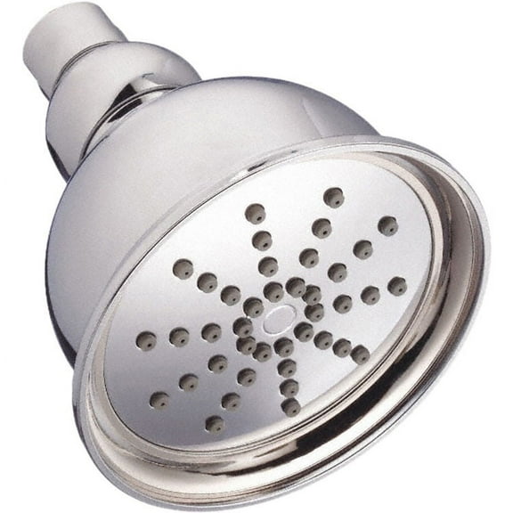 Danze D460027 4 250C Showerhead Chrome