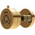 thumbnail image 1 of Danze Parma 2 Function Round Brass Body Spray, Bronze Finish, Bathroom Shower Accessory, 1 of 1