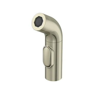 Danze Side Spray Head for Parma Kitchen Faucet, Brushed Nickel
