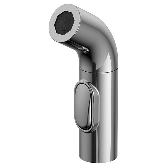 Danze Side Spray Head for Parma Kitchen Faucet, Chrome
