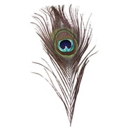180pcs 6 Style Natural Feathers Assorted Mixed Feathers For Dream Desertcart Bah 180pcs 6 Style Natural Feathers Assorted Mixed Feathers For Dream Desertcart Bah