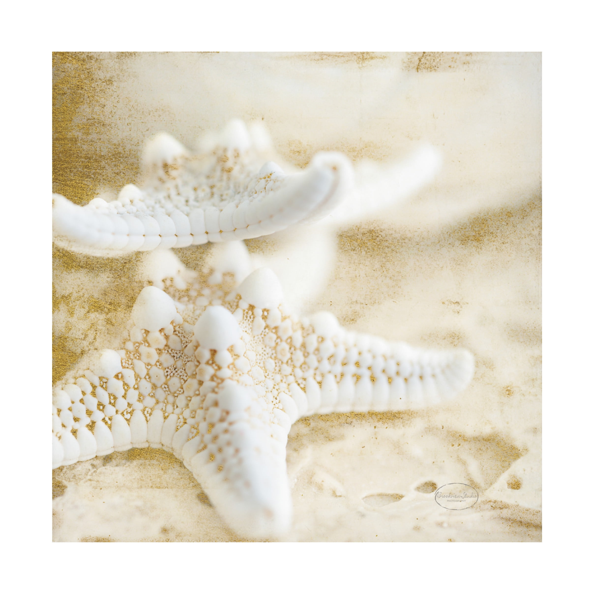 White Starfish on Beige Canvas Wall Art