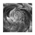 thumbnail image 1 of Daphne Brissonnet 'Mediterranean Flair XX' Canvas Art, 1 of 3