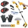 Dapmiu 2-in-1 Cordless Hedge Trimmer with Extension Pole, 21V Electric Grass Shear & Branch Cutter, 2 x 1500mAh Batteries, 30-40 Min Runtime for High Reach Pruning, Anti-Collision Safety Design.