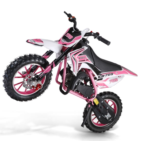 Dapmiu 49CC Mini Motocross Bike - Complete Tool Kit & 19MPH Speed, Metal Frame Perfect for Young Riders, Pink
