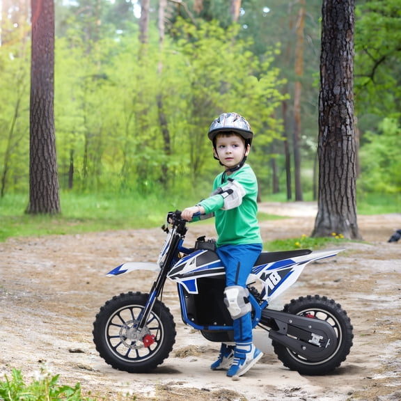 Dapmiu Stable Circuit Electric Dirt Bike - 36V 350W Motor with Low Heat Design, 45+ Minutes Runtime & 150LBS Capacity Blue