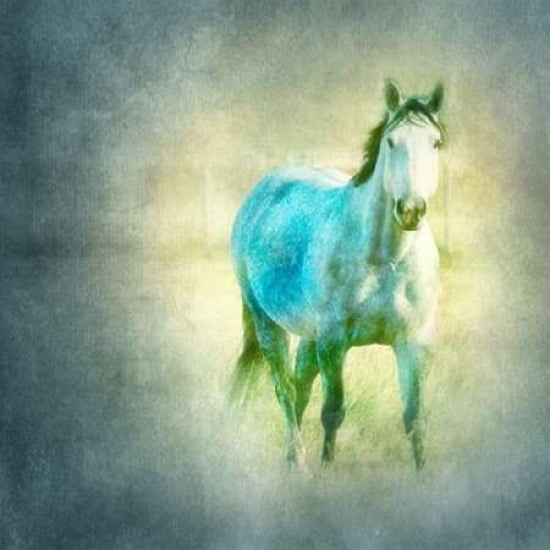 Dapple Grey Canvas Art - Roberta Murray (24 x 24)