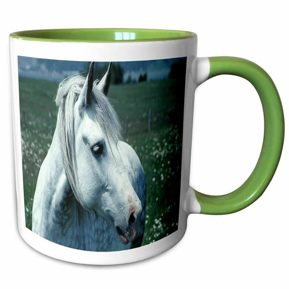 3drose, Dappled Grey Horse Flowered Pasture, 15oz Two-tone Green Mug