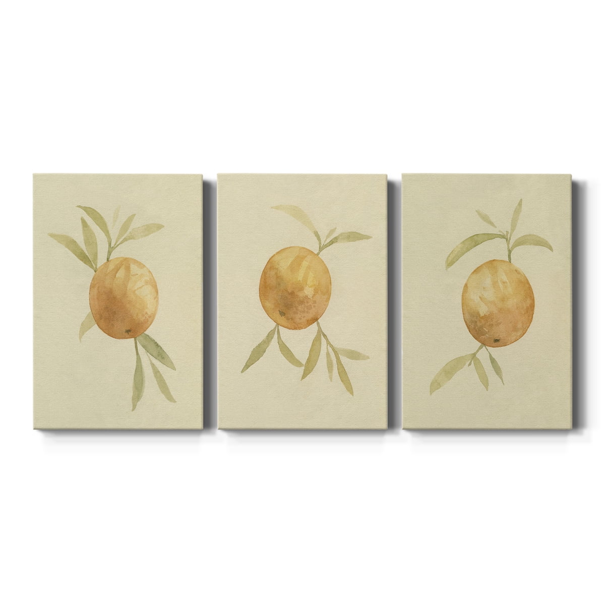 Dappled Oranges I Premium Gallery Wrapped Canvas - Ready to Hang - 24 x 36 Each