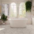 thumbnail image 1 of Darby 59 Inch Freestanding Double End Tub, 1 of 2