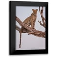 thumbnail image 1 of Darby, Rob 11x14 Black Modern Framed Museum Art Print Titled - Leopard Portrait, 1 of 5