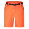 thumbnail image 1 of Dare 2B Mens Tuned In Pro Lightweight Cargo Shorts, 1 of 5