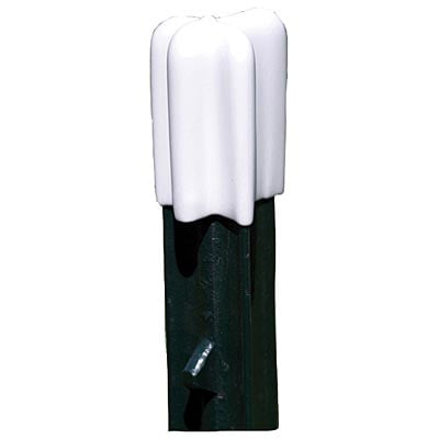 Dare Products Safety Cap White