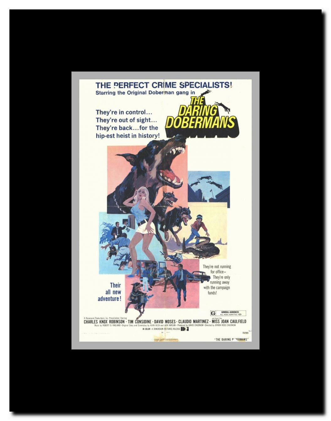 Daring Dobermans Framed Movie Poster