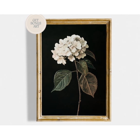 Dark Academia Hydrangea Wall Art, Dark Floral Cottagecore Decor, Vintage Hydrangea Wall Poster, Dark Academia Decor Wall Art, Modern Wall Decor, 8x12 UNFRAMED