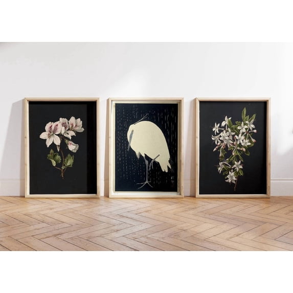 Dark Academia Light Academia Aesthetic Dark Aesthetic Classic Decor ...