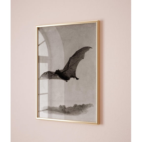 Dark Academia wall art Vampire Bat Goth decor Gothic Poster Cottagecore Poster, Unframed Poster Size 8x12