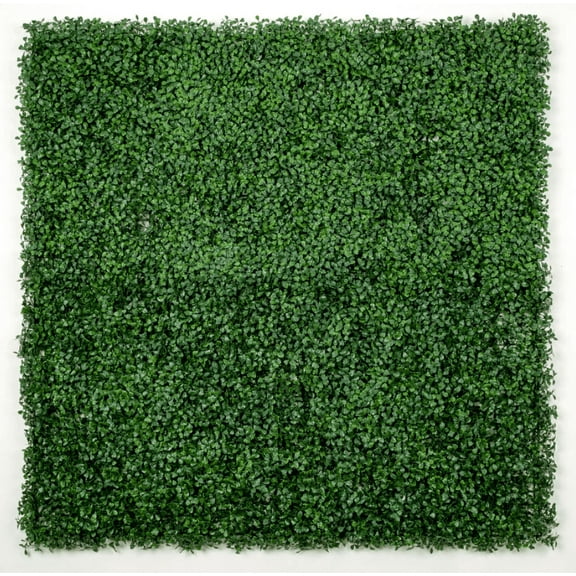 Dark Artificial Boxwood Wall (6 Pieces 40" x 40") 66 SQ FT Set Commercial Grade UV Resistant