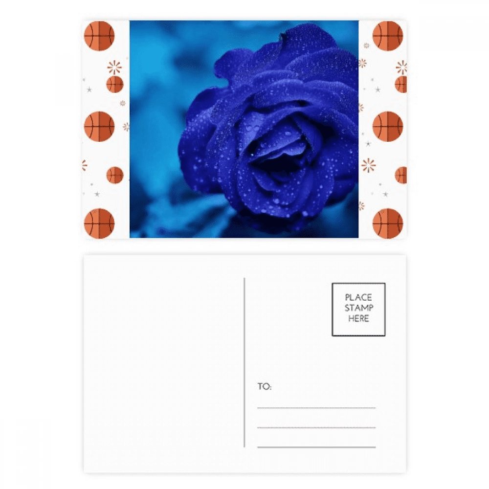 Dark Blue Roses Flowers Art Deco  Fashion Basketball Postcard Set Thanks Card Mailing Side 20pcs
