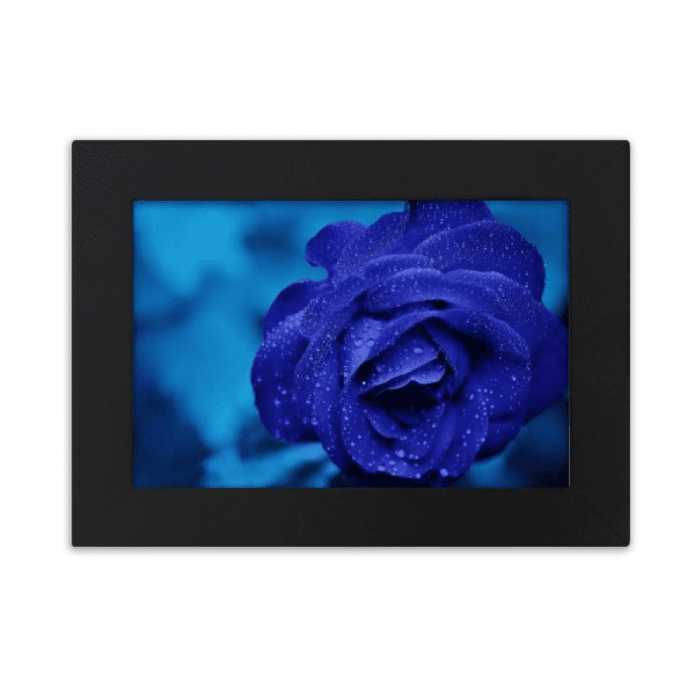 Dark Blue Roses Flowers Desktop Photo Frame Ornaments Picture Art ...