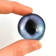thumbnail image 1 of Dark Blue Siamese Cat Glass Eyes, 1 of 11