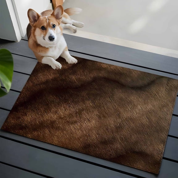 Dark Brown Wood Texture Front Door Rugs 2x3 ft Vintage Farmhouse Ombre Wood Grain Small Rug for Entryway Non Slip Washable Bathroom Door Mat Absorbent Floor Mat for Indoor Entrance