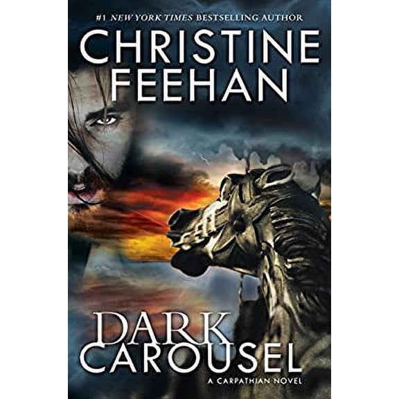 Pre-Owned Dark Carousel Paperback