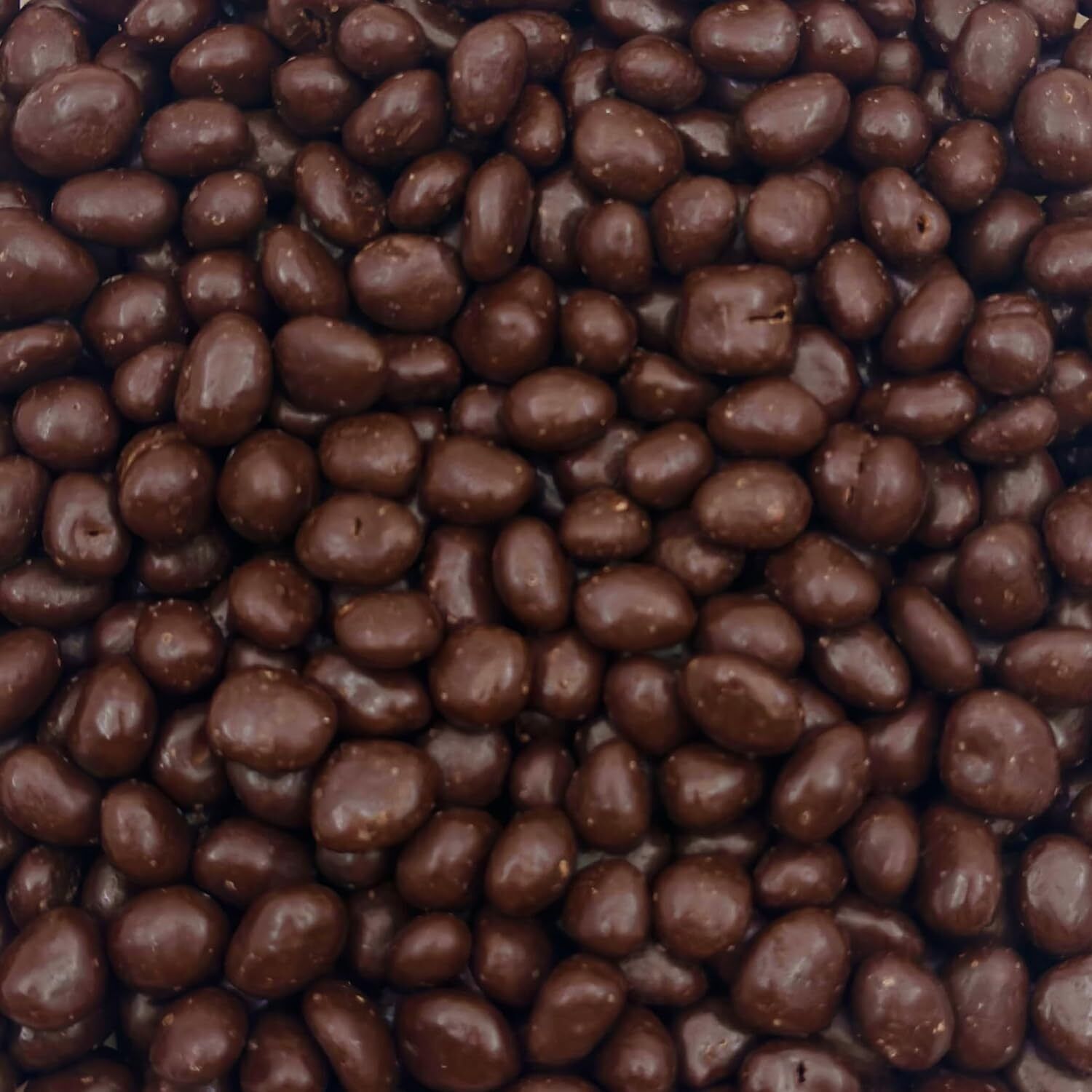 Dark Chocolate Covered Raisins, 2Pound Bag