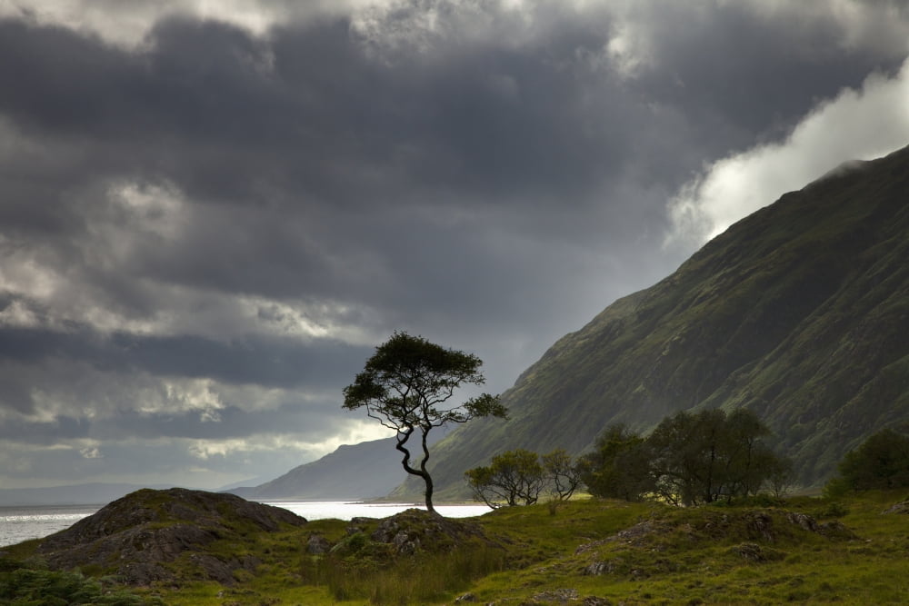 Dark Clouds Over A Landscape Along The Coast Ardnamurchan Argyll Scotland Canvas Art - John Short Design Pics (19 x 12)