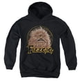 thumbnail image 1 of Dark Crystal - Fizzgig - Youth Hooded Sweatshirt - Medium, 1 of 2
