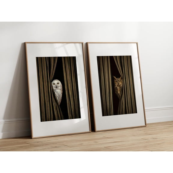 Dark Fine Art Print Mysterious Owl Surreal Cinematic Bird Wall Decor Modern Statement Artwork Set 2 Stretched Canvas 16x24