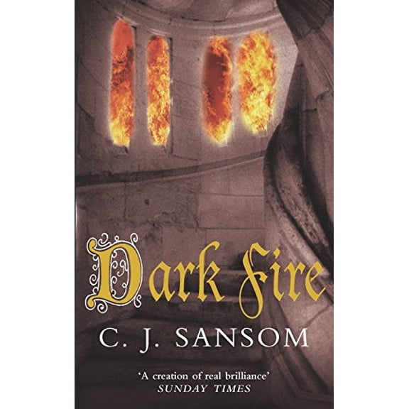 Pre-Owned Dark Fire (Paperback) 0330411977 9780330411974