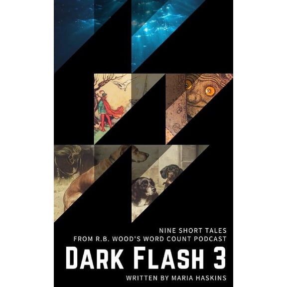 Dark Flash 3 (Paperback)