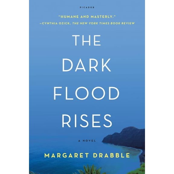 The Dark Flood Rises : A Novel (Paperback)