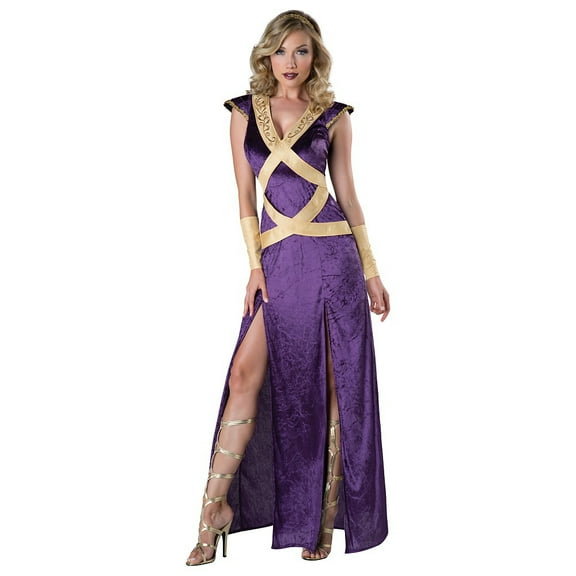 Dark Forest Maiden Costume for Adults, Womens Size Medium 8-10, by InCharacter Costumes