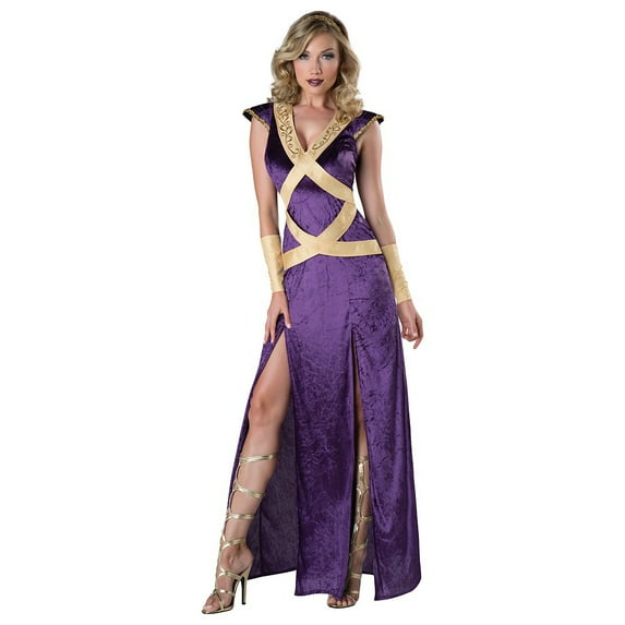 Dark Forest Maiden Costume for Adults, Womens Size Extra Large 16-18, by InCharacter Costumes