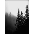 thumbnail image 1 of Dark Forest Poster Wall Art, Modern Wall Decor For Living Room Bedroom, 12x18 UNFRAMED, 1 of 2