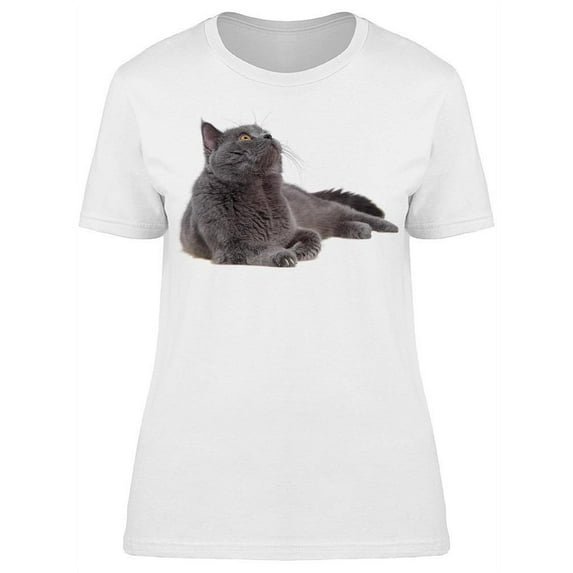 Dark Gray Fluffly British Cat T-Shirt Women -Image by Shutterstock, Female 3X-Large