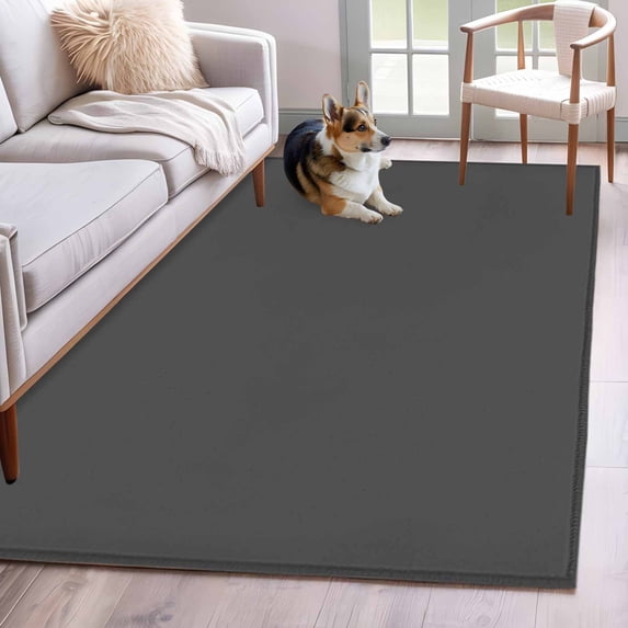 Dark Gray Washable Area Rug 3x5 Solid Color Low-Profile Large Area Rugs with Non Slip Backing Indoor Floor Carpet for Entrance Living Room Bedroom Home Office