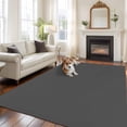 thumbnail image 1 of Dark Gray Washable Area Rug 5x7 Solid Color Low-Profile Large Area Rugs with Non Slip Backing Indoor Floor Carpet for Entrance Living Room Bedroom Home Office, 1 of 9