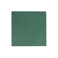 thumbnail image 1 of Dark Green Cocktail Napkins | Green Drink Napkins | Dark Green Beverage Napkins - 5in. x 5in. Folded - 2-Ply - 20 Pieces/Pkg. (fdp95006), 1 of 1