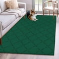thumbnail image 1 of Dark Green Plaid Area Rugs 2.7'x5', Washable Small Throw Rugs for Kitchen Bedroom, Country Vintage Abstract Striped Lattice Indoor Outdoor Rug Non-Slip Low Pile Carpet Runner Reversible Floor Mats, 1 of 8