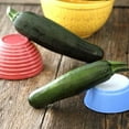 thumbnail image 1 of Dark Green Zucchini Squash Seeds - 1/4 LB ~700 Seeds - Heirloom, Open Pollinated, Non-GMO, Farm & Vegetable Gardening Seeds - Summer Squash, 1 of 2