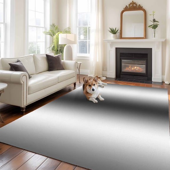 Dark Grey White Area Rug 5x8 FT, Non Slip Bedroom Throw Carpet, Farmhouse Ombre Color Modern Simple Washable Soft Floor Carpet Non-Shedding Rug for Living Room Nursery Dorm Office