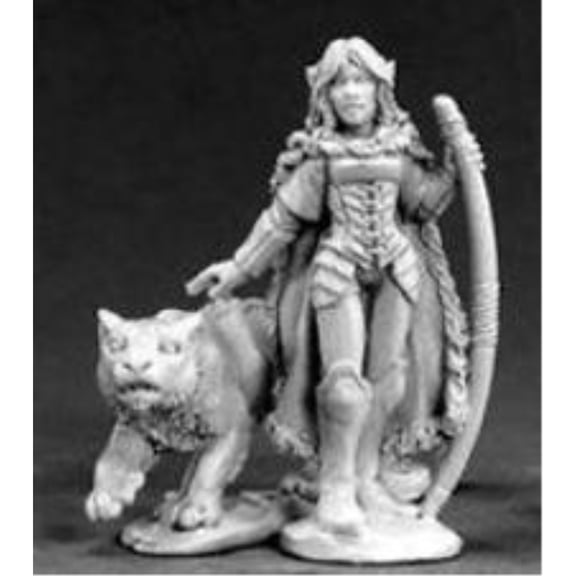 dark heaven legends aeris, elf ranger and panther