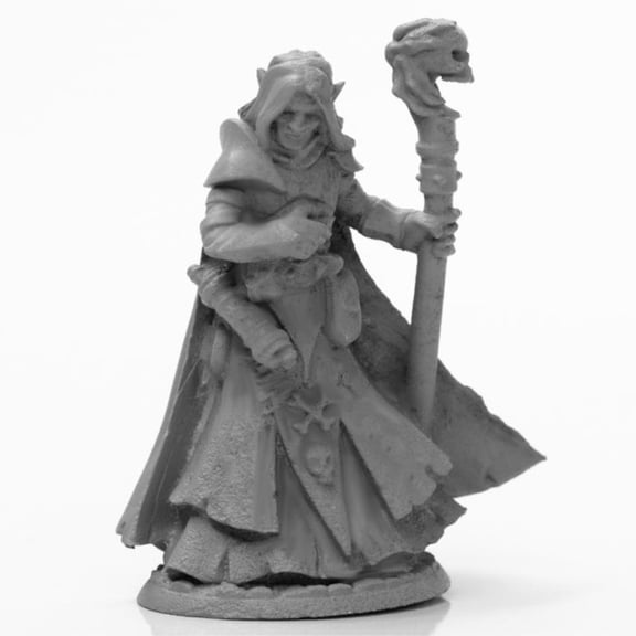 DHL: Dark Elf Male Wizard Reaper Miniatures