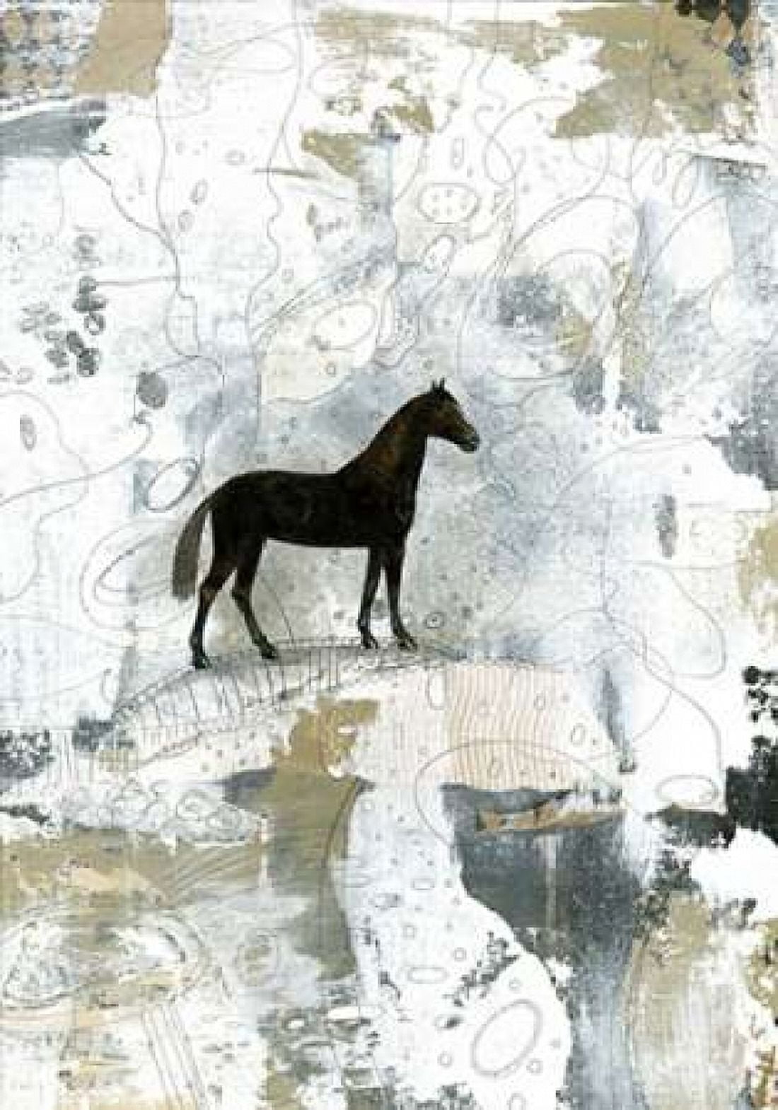 Dark Horse Canvas Art - Sarah Ogren (20 x 28)