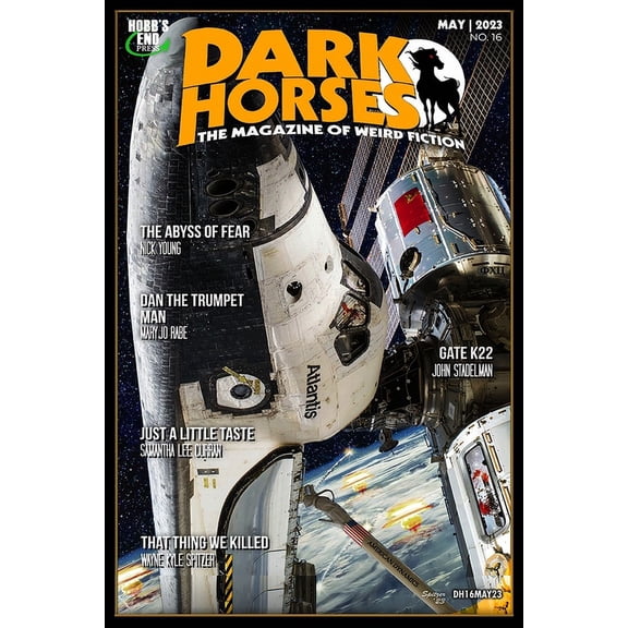 Dark Horses Magazine: Dark Horses : The Magazine of Weird Fiction No. 16: May 2023 (Series #16) (Paperback)